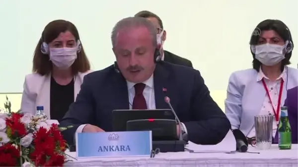 Güneydoğu Avrupa İş Birliği Süreci Parlamenter Asamblesi 8. Genel Kurulu'nda nihai bildiri kabul edildi (1)