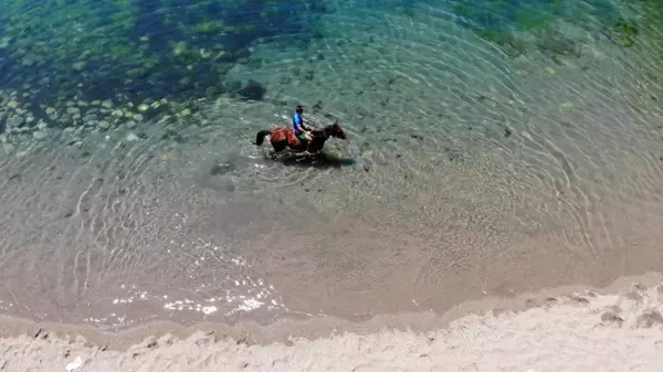 Bunaltıcı sıcakta yarış atıyla denizin tadını çıkarttı