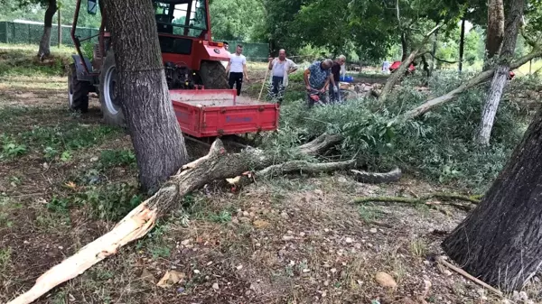 Fırtına ağaçları devirdi, enerji nakil hatları kopunca yangın çıktı