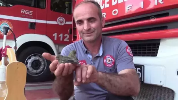 Son dakika haberi | Florya yavruları itfaiyecilerin maskotu oldu