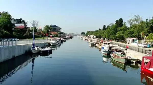 İstanbul'un bazı sahillerinde müsilaj yoğunluğu azaldı