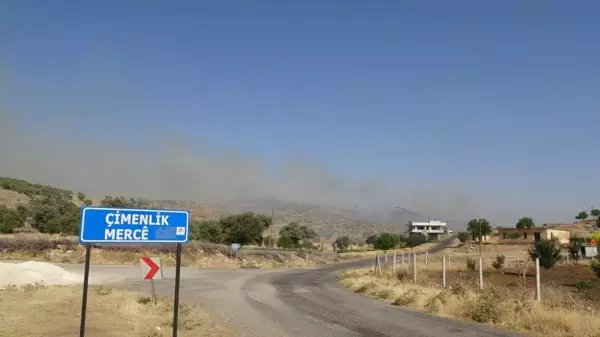 Mardin'de orman yangını