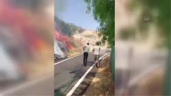 Bodrum'da makilik ve otluk alanda çıkan yangın söndürüldü