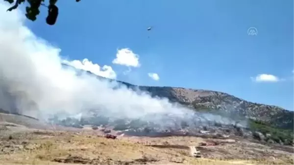 Selçuk'ta otluk alanda çıkan yangın söndürüldü