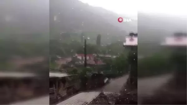 Artvin'de dolu yağışı