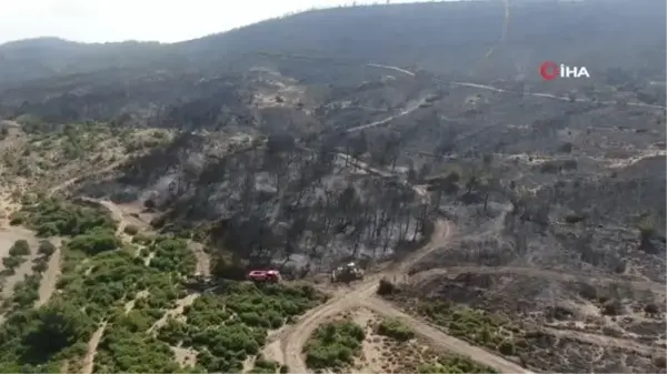 Foça yangınında hasarın boyutları böyle görüntülendi