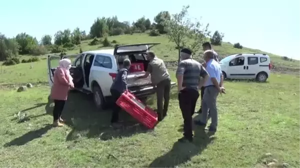 Popülasyonunun artırılması için doğaya 250 keklik salındı