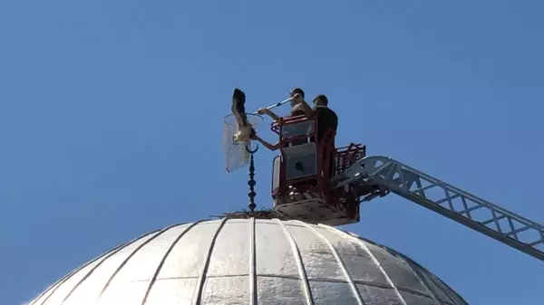 Bacağı kırılan leylek için seferber oldular