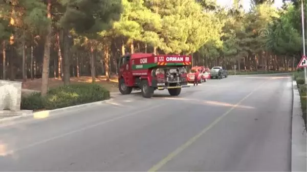 Son dakika haber... Pamukkale ilçesindeki orman yangını kontrol altına alındı