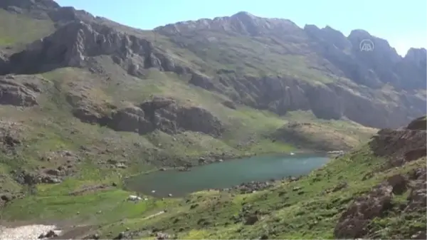 Şemdinli'de vatandaşlar terörden arındırılan Aktütün bölgesinde Türk bayraklarıyla halay çekti