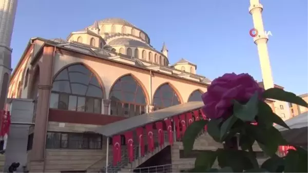 Cami ve mezarlıklarda aşı standı kuruldu