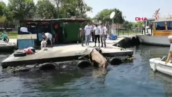 KASIMPAŞA'DA KURBANLIK DANA DENİZE DÜŞTÜ