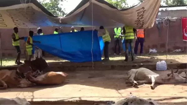 Türkiye'den Mali'deki ihtiyaç sahiplerine kurban yardımı