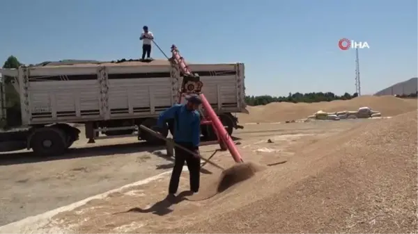 Muş'ta buğday satışlarına başlandı