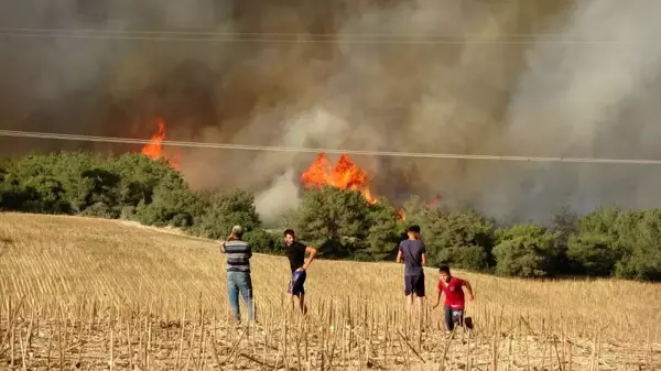 Son dakika haberleri: Orman yangınında dumanlar gökyüzünü kapladı