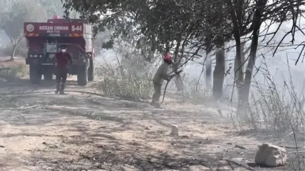 Son dakika... Sarıçam'da çıkan orman yangını kontrol altına alındı