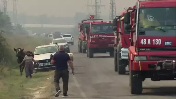 Manavgat'taki orman yangınına havadan ve karadan müdahale sürüyor - Karaöz mahallesi (2)