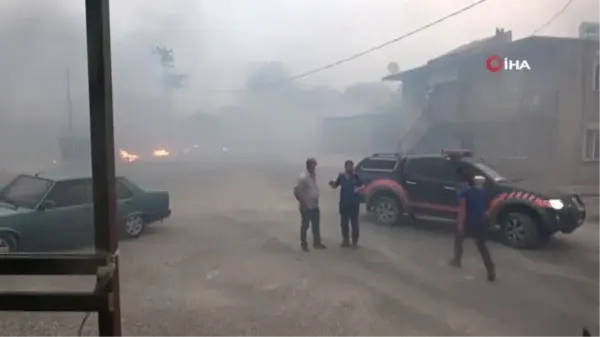 Yangın, Manavgat'ı esir aldı...Vatandaşlar ve ekipler mahallelerde mahsur kalan hayvanları kurtarmak için seferber oldu