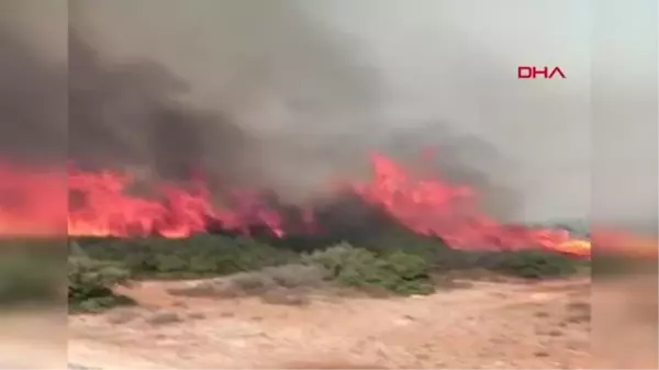 ADANA'DA 2 BÖLGE KONTROL ALTINA ALINDI