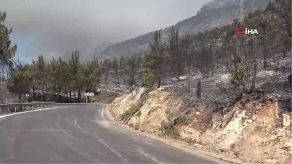 Bakan Yardımcısı İnce, yangın bölgesinde incelemelerde bulundu