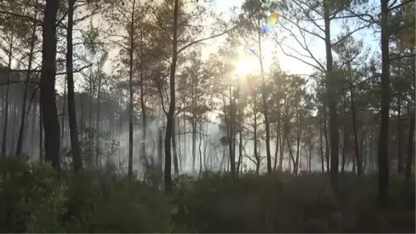 Marmaris'teki orman yangınına müdahale karadan devam ediyor