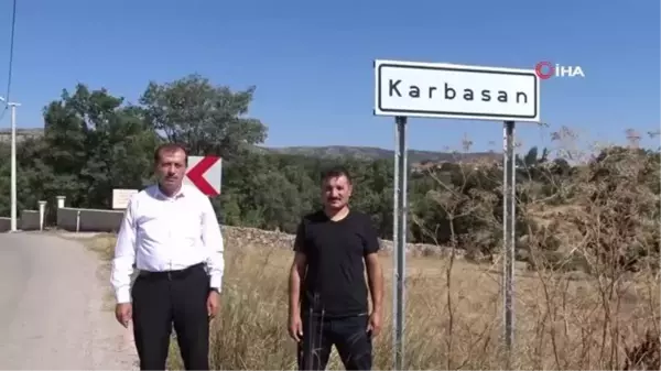 Kütahya'da Adaçayı hasadı başladı