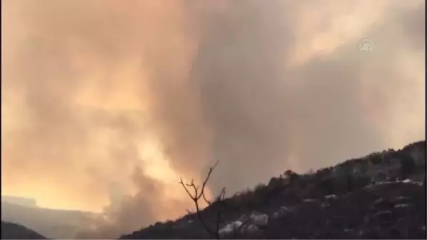 Manavgat'taki orman yangını daha önce tedbir amaçlı boşaltılan Sırtköy Mahallesi'ne sıçradı (2)