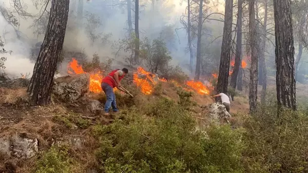 Son dakika haber... Seydikemer'de orman yangını