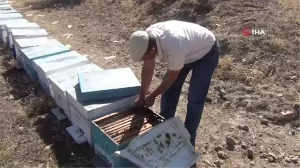 Son dakika haber | Muğla yangının ateşi Afyonkarahisar'daki arıcıları da sardı