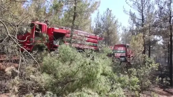 Son Dakika | Ormanlık alanda çıkan yangın kontrol altına alındı