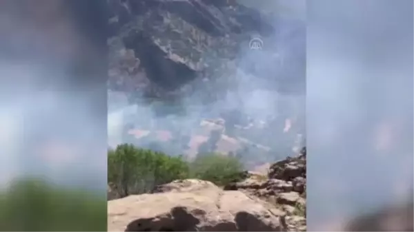 Tarım arazisinde çıkan yangın söndürüldü