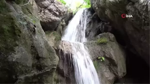 Amasya'nın serinleten saklı cenneti 'Aktaş Şelalesi'