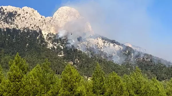 Son dakika haberleri... Seydikemer'deki yangın kısmen kontrol altına alındı