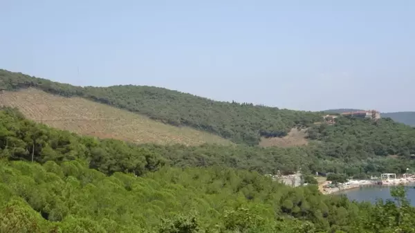 Heybeliada'da 1 yıl önce yangında kül olan alanın değişimi böyle görüntülendi