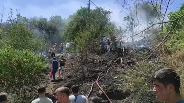 Çatalca'da ormanlık alanda çıkan yangın söndürüldü