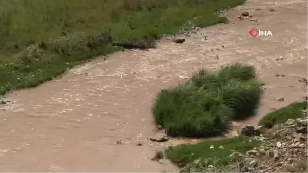 Kuraklık sonrası aşırı yağışlar hayvanları etkiledi