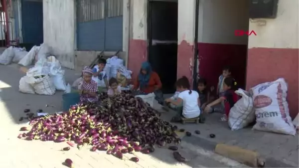 OĞUZELİ'NDE EV KADINLARININ KURUTMALIK MESAİSİ