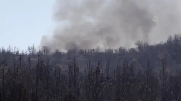 Menteşe'deki orman yangınlarından çoğu etkin mücadeleyle kontrol altına alındı