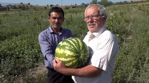 Babadan kalma geleneği sürdürüyor! Bahçesinde yetiştirdiği sebze ve meyveleri herkese ücretsiz dağıtıyor