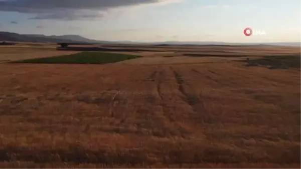 Evinde ürettiği bakteri ile tarımsal üretimini ikiye katladı