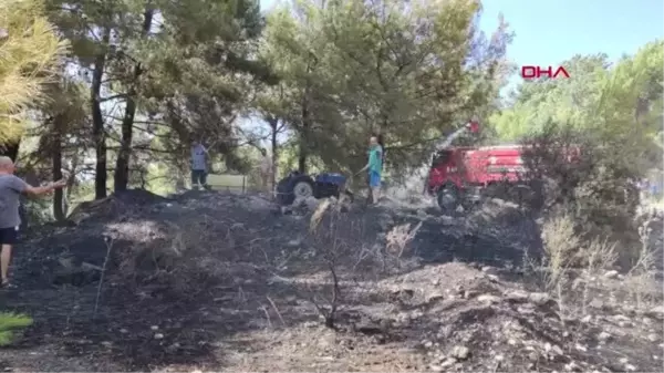 Son dakika haberi | ÇAMYUVA'DAKİ YANGIN EL BİRLİĞİYLE SÖNDÜRÜLDÜ