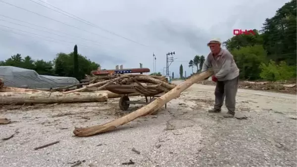 Son dakika haberleri | SELİN TAŞIDIĞI ODUNLAR, YAKACAK OLDU