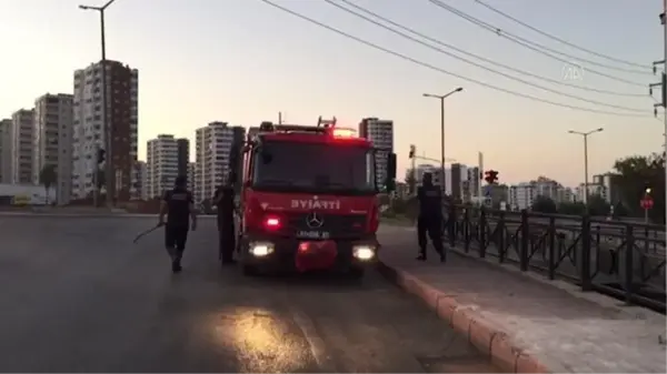 Son dakika haber... Düştüğü sulama kanalında mahsur kalan kediyi itfaiye kurtardı