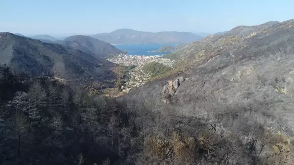 Son dakika! Marmaris'te yangından zarar gören alanlar havadan görüntülendi