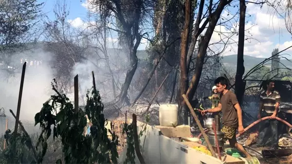 Son dakika haber! Tatil beldesinde korkutan yangın