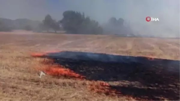 Tarlada çıkan yangına çiftçi traktörüyle müdahale etti