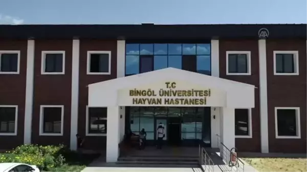 Hayvan hastanesi, bölgedeki besicilere ve hayvanlara derman olacak