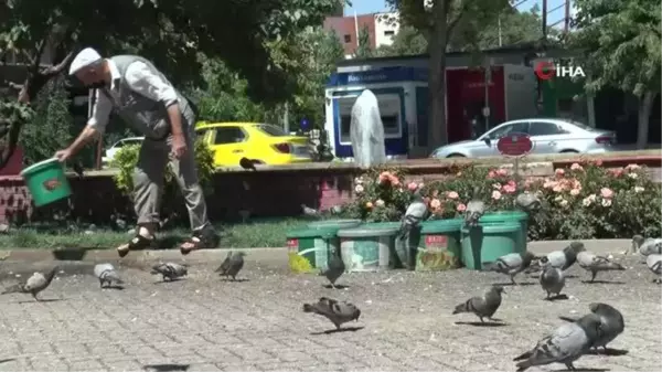 20 yıldır sokak hayvanlarına kova kova su taşıyor