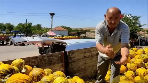 Meşhur dalaman kavunlarının hasadı başladı