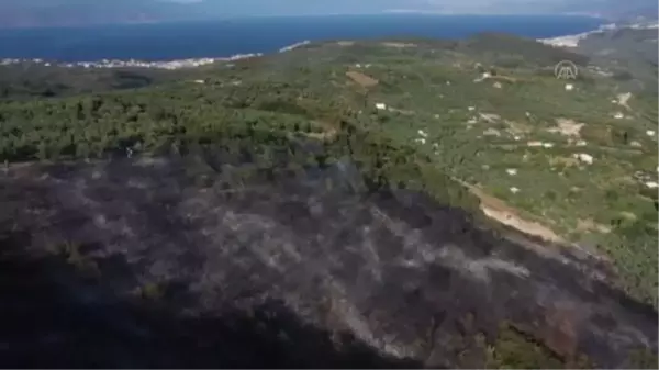 Mudanya'da çıkan orman yangını kontrol altına alındı